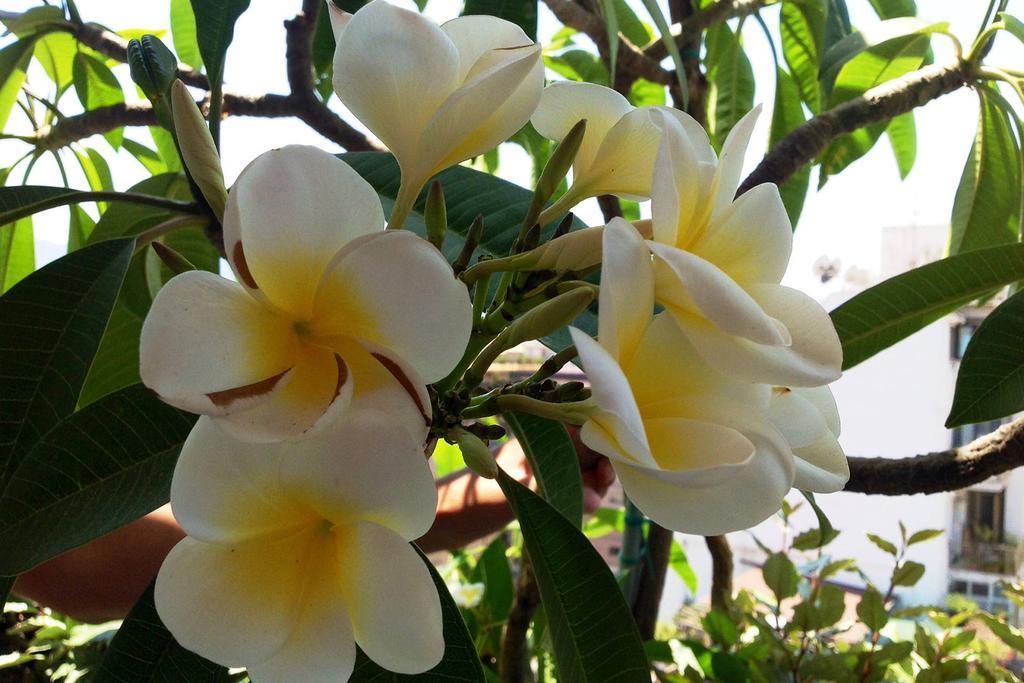 B&B La Pomelia Agrigento Zewnętrze zdjęcie