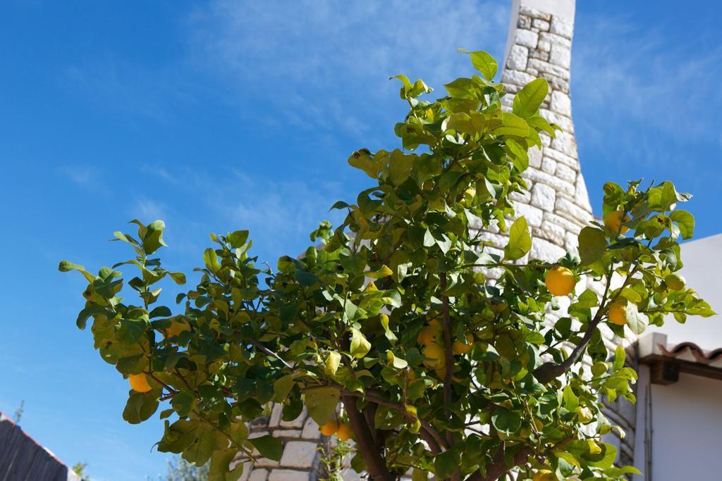 B&B La Pomelia Agrigento Zewnętrze zdjęcie